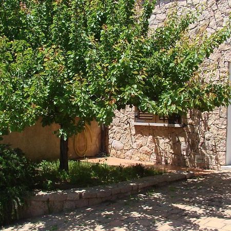 Bella Casa Con Giardino A 10 Minuti Dal Mare Apartment Aglientu Exterior foto